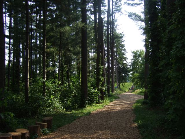 DSCF6988_1024
