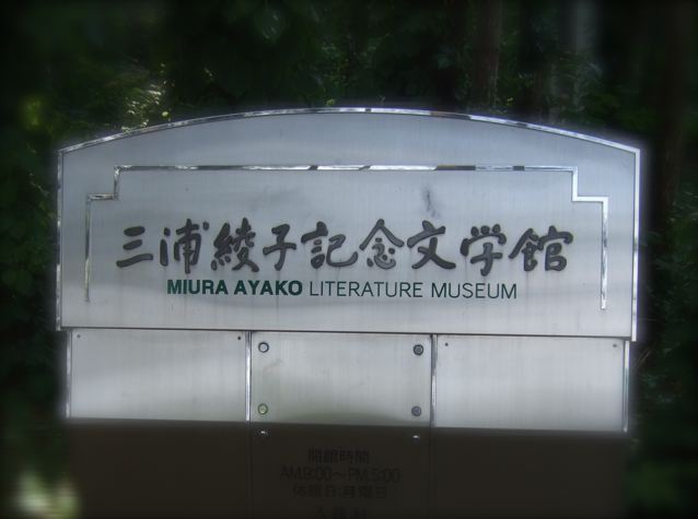 DSCF6989