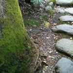 IMG_0655