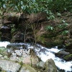 IMG_0683