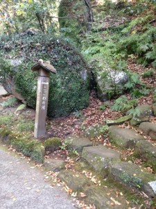 万葉公園_2015_3