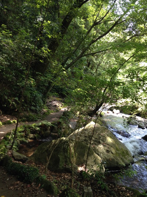 manyo_park2