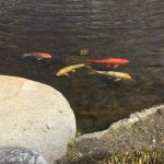 Thumbnail of related posts 098