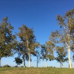 Thumbnail of related posts 099