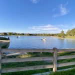 Thumbnail of related posts 143